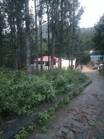 Impeccable 3-bed Cottage in Sirumalai - Image 4