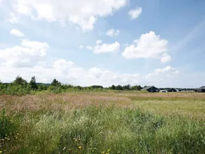 9 Person Holiday Home in Brovst - Image 5