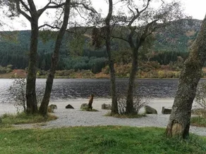 White Cottage Auchterarder - Image 2