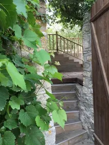 Mon Petit Coin De Paradis - Image 2