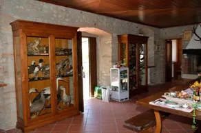 Casa Rodolfa - Image 4