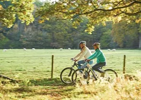 Whitemead Forest Park - Image 4