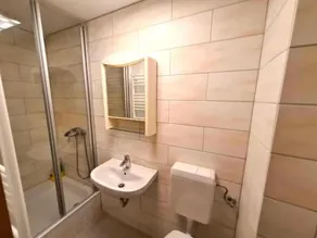 Spacious Holiday Home in Bärenstein with Garden - Image 3
