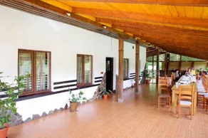 Paradisul Verde - Image 5