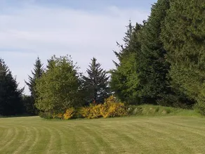 6 Person Holiday Home in Toftlund - Image 3