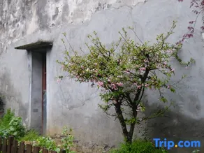 Jushang Seaview Holiday Homestay (Ninghai Qiangjiao Town Branch) - Image 3