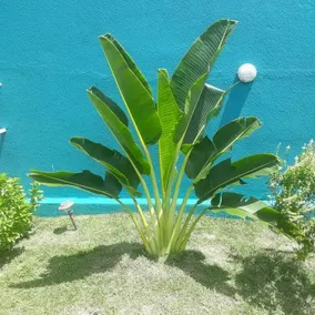 Pousada Mãe Das Águas - Image 5