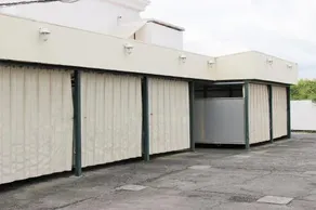 Kumamoto Pal - Image 2