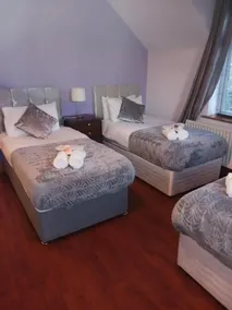 Tullynacrunat Lodge - Image 3