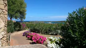 Vela Blu - Image 2