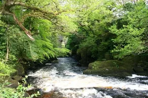 Feirm Cottage - Image 5