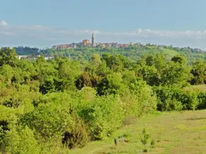 Villa Buje - Image 5