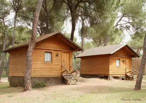 Camping Dehesa Nueva - Image 2