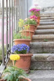 Hotel Rural L'alcova - Image 3