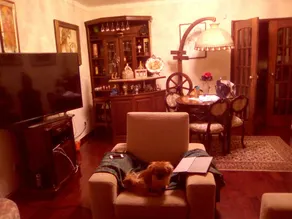 6 bedrooms villa with private pool jacuzzi and enclosed garden at Mira de Aire - Image 4