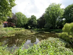 Mansion with ensuite bathrooms, 10,000m2 garden and heated terrace, Het Hulsbeek - Image 3