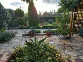 Olive House Villa And Studio - Image 4