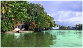 Our Land Island Backwater Resort - Image 3
