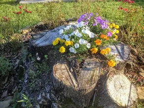 La Villa Del Cedro - Image 4