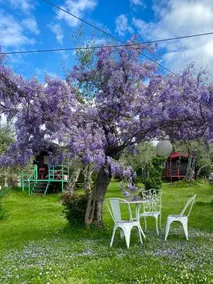 Azienda agricola e Caravan della Mezzaluna - Image 2