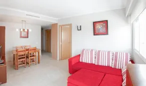 Gavina - Image 3