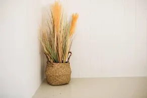 The Vine House Benalla - Image 4