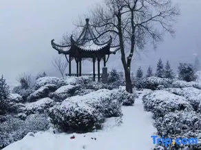 Dream Village, Zuyuan, Xiuning - Image 2