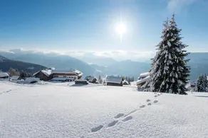 Sattlegger's Alpenhof & Feriensternwarte - Image 3