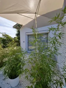 Au Jardin De La Saudrune - Image 5