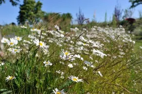 Ferienwohnungen Im Fischerdorf Und - Image 5