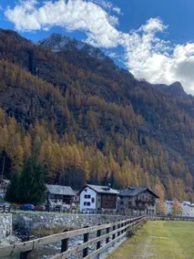 B&B Gressoney - Image 4