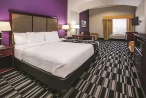La Quinta Inn & Suites by Wyndham Dallas South-DeSoto - Image 4