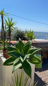 Casa en el Atlantico Villa encima del Mar A Guarda Rias Bajas - Image 5