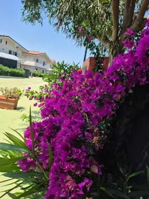 Albergo Athena Mare - Image 2