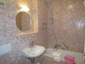 Apartment Salzburger Strasse - Image 4