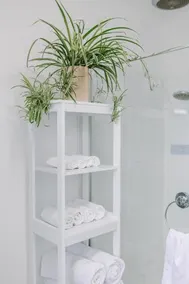 Cozy holiday plant flat ,close to CBD and Beach - Image 2