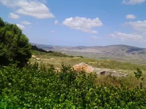 Shapira In The Galilee - Image 4