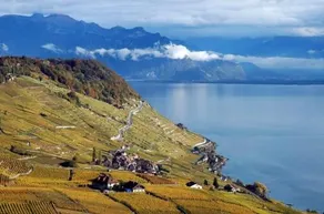 Villa Rose in the center of Montreux by GuestLee - Image 3