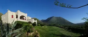 Sofia Mina Green Villa - Image 4