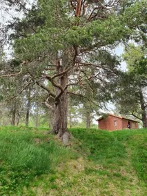 Borkhushyttene - Image 4