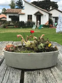 Hotel Casitas Barro Iza Boyaca - Image 5