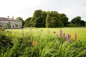 Mornington House - Image 5