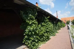 Stara Stajnia - Image 2
