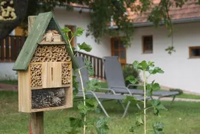 Ferienhaus Bioeck - Image 3