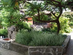 At Chorbadzhiykata - Image 2