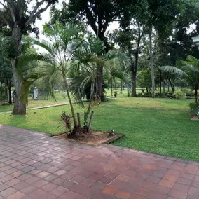 Raddegoda Walawwa - Image 2
