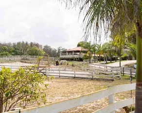 Tampa Bay Oasis - Image 4