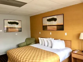 Red Carpet Inn Duncannon - Image 2