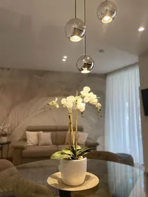 Clavis Luxury Apartments - Image 3