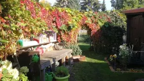 Ferienwohnung-gurran - Image 4